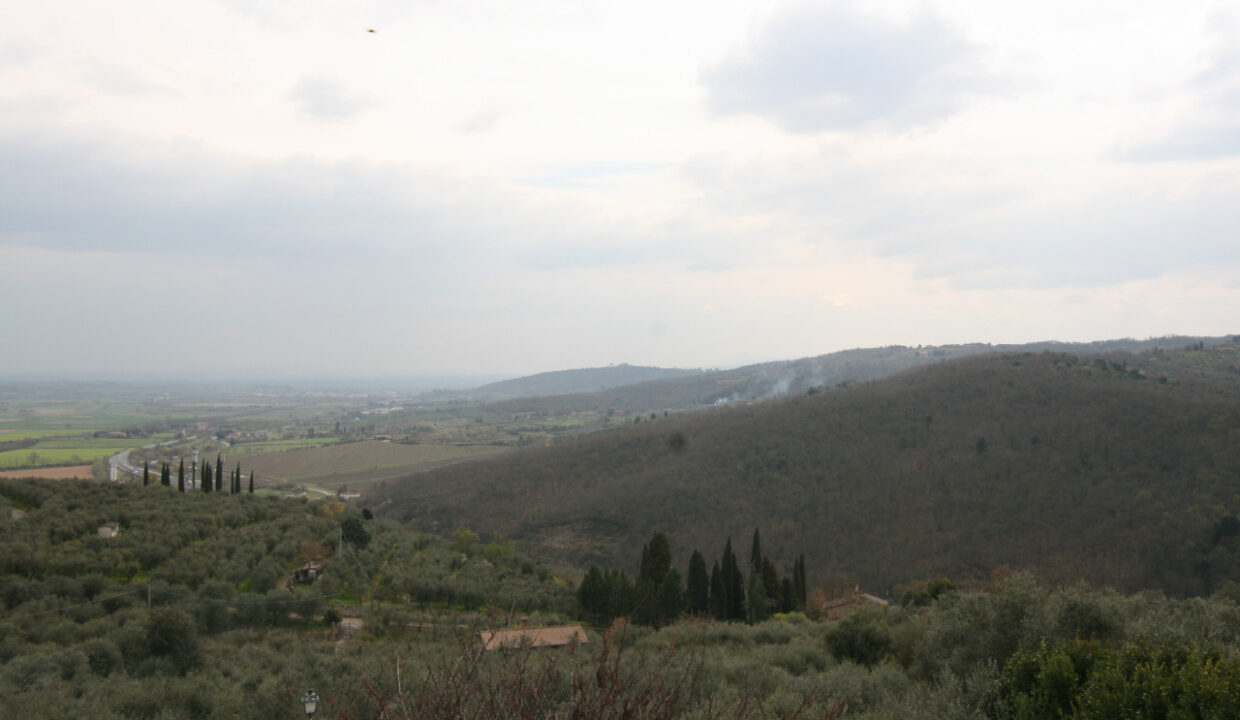043__img_6053