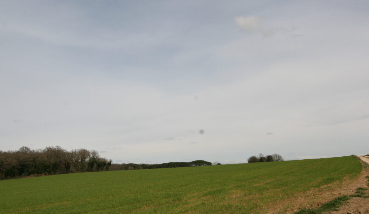 041__img_5955