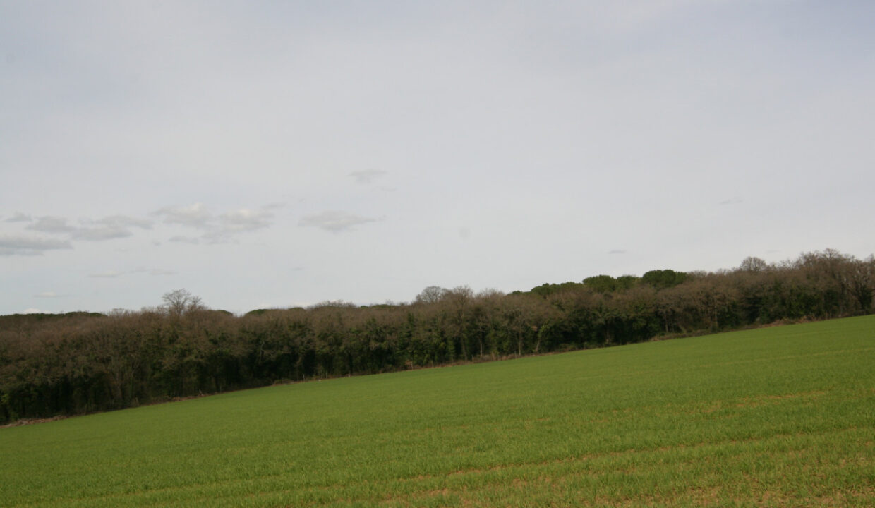 042__img_5956