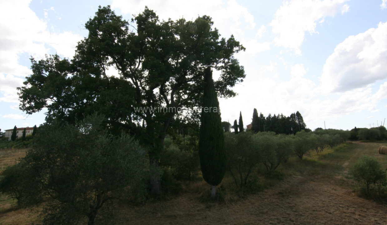 028__img_2947_wmk_0