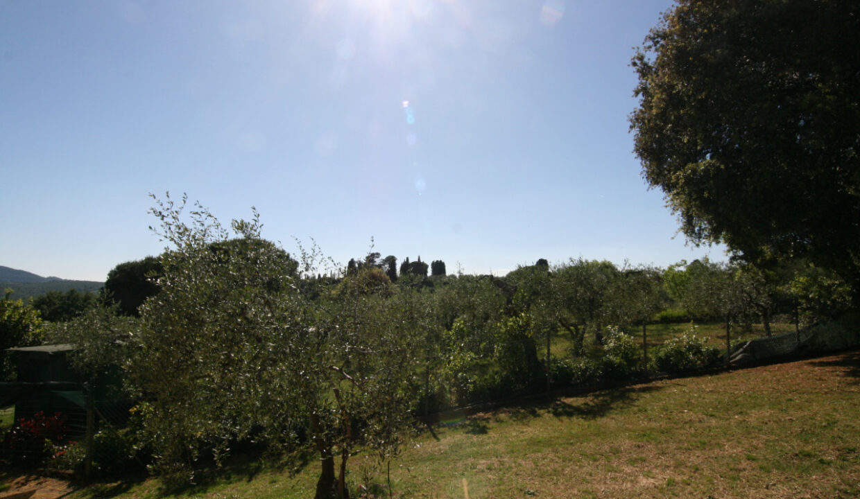 027__img_7532