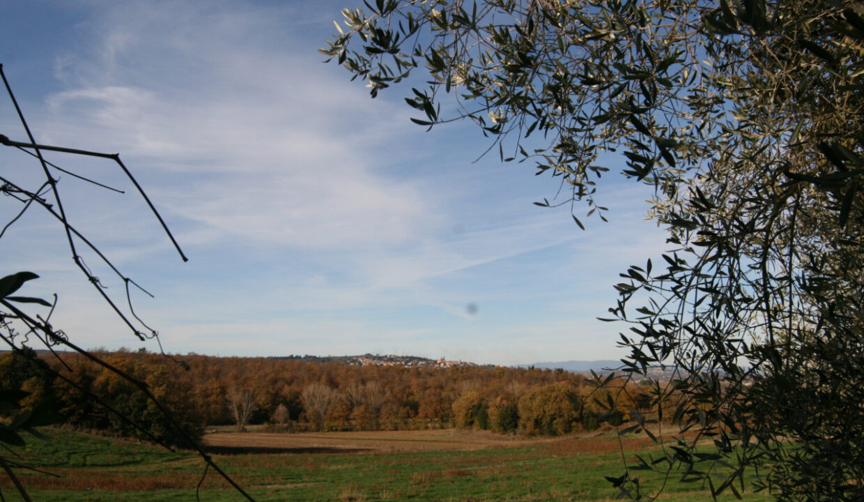 060__img_4925