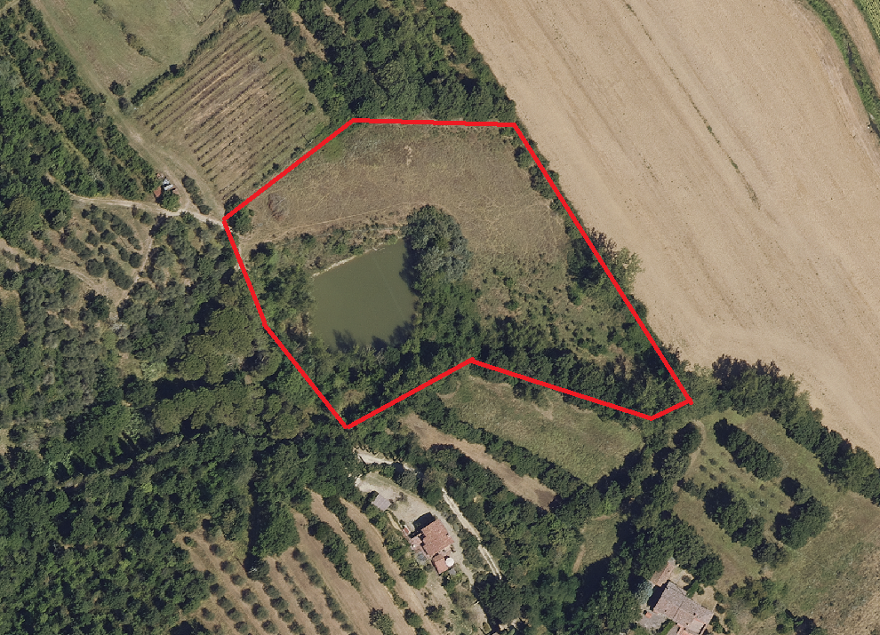 TR27 – Sinalunga vendesi terreno di 12 ha 7000 metri